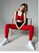 Лосини PUSH-UP+ з моделюючими лініями (Червоний) 1014-2920-red-xs фото 3